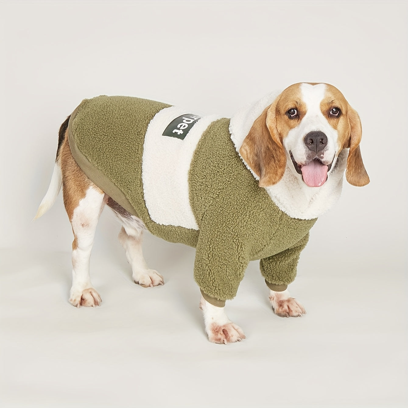 A beagle stands profile to the camera on a tiled floor, sporting the same style of green dog coat 