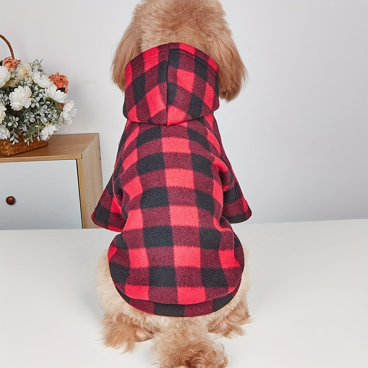 a rear angle, focusing on the fit of the coat over the dog's back.