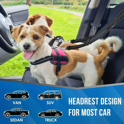 Safety harness for traveling with dogs