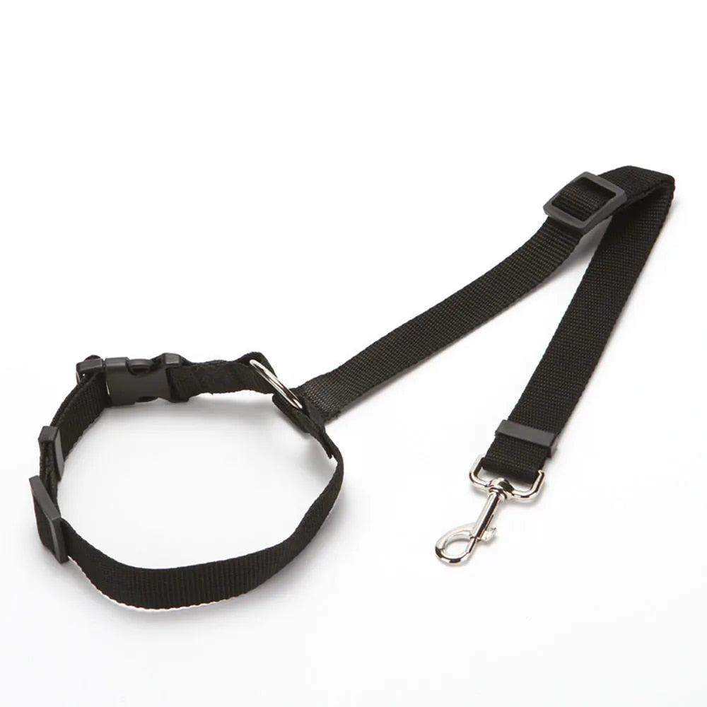 black dog seat belt